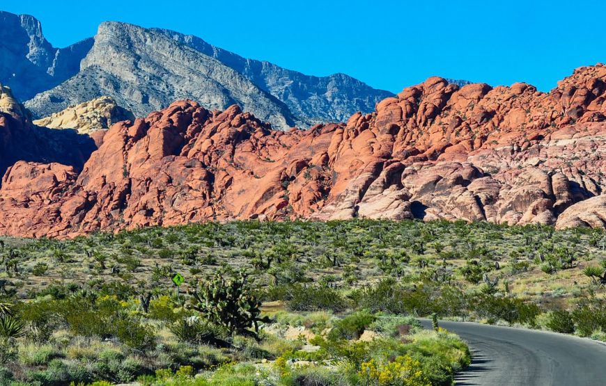 Red Rock Canyon Tours from Las Vegas